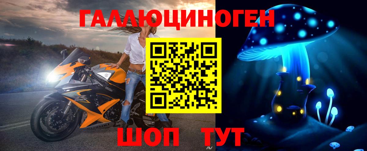 Губкин  Галлюциногенные грибы Psilocybine cubensis  Вход с VPN  Псилоцибиновые грибы мицелий 