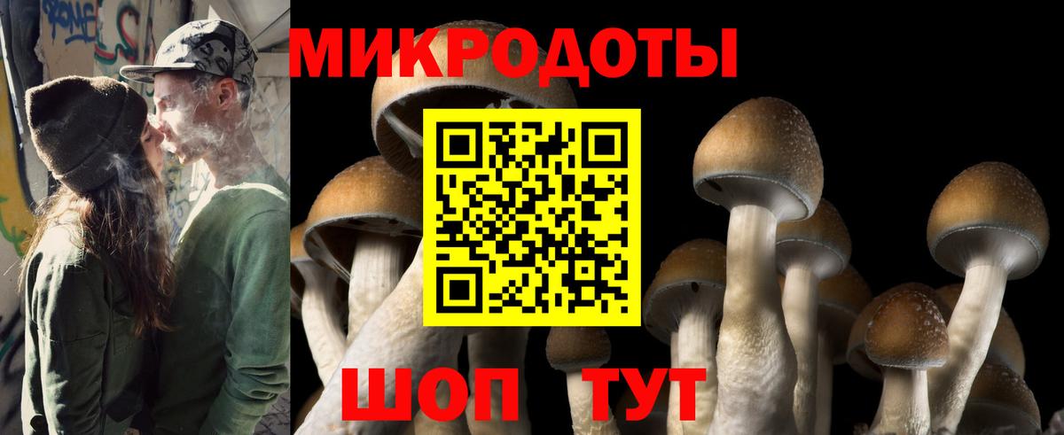 Галлюциногенные грибы Psilocybine cubensis Губкин